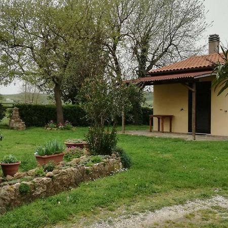 Agriturismo Cavallin Del Papa Capalbio Exterior photo