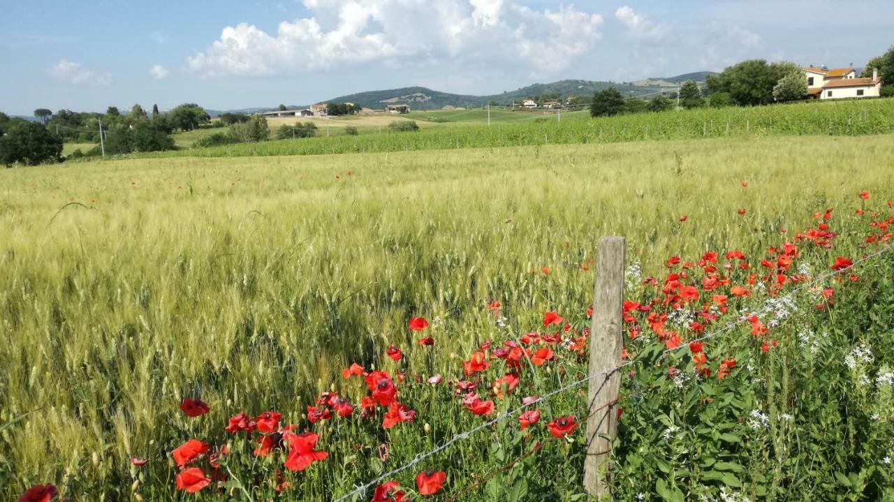 Agriturismo Cavallin Del Papa Capalbio Exterior photo